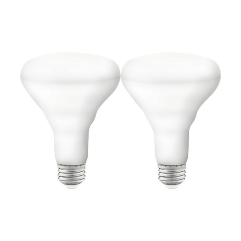 Light Bulb in White (230|S11256)