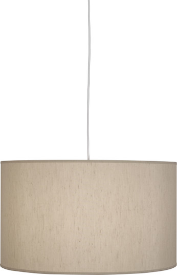 Elena One Light Pendant in Painted White (165|B169)