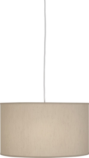 Elena One Light Pendant in Painted White (165|B168)