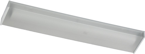 Ceiling Mount Wrap Series Two Light Ceiling Mount in White (19|82049-2-6)