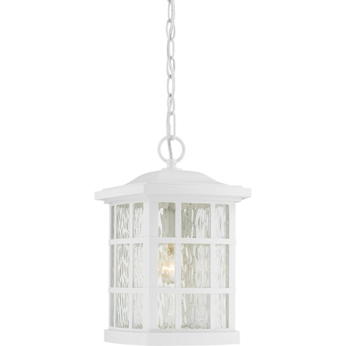 Stonington One Light Outdoor Hanging Lantern in Matte White (10|SNN1909W)