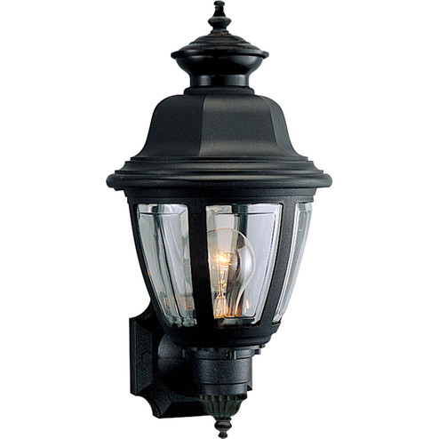 Non-Metallic Incandescent One Light Wall Lantern in Black (54|P5737-31)