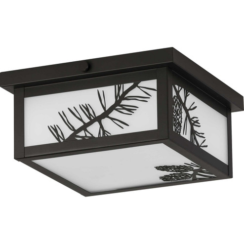 Torrey Two Light Outdoor Flush Mount in Antique Bronze (54|P550059-020)