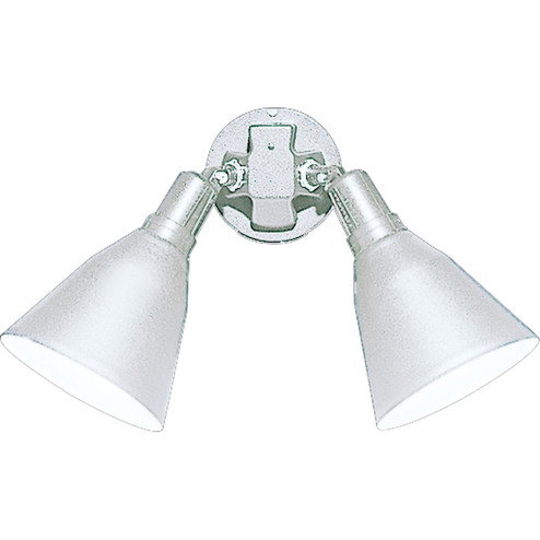 Par Lampholder Two Light Wall Lantern in White (54|P5203-30)