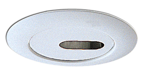 Rec Lv 6'' Trim 6'' Metal Slot Aperture Trim in White (167|NL-645)