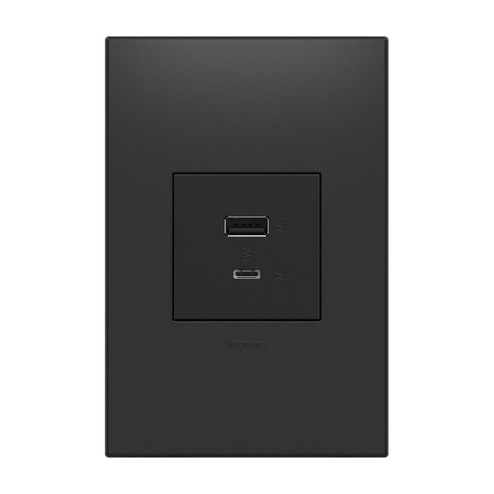 Adorne USB Type-A/C Outlet Module in Graphite (246|ARUSB2AC6G4)