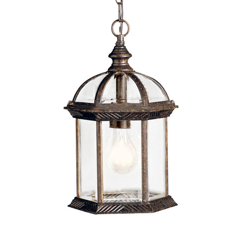Barrie LED Outdoor Pendant in Tannery Bronze (12|9835TZL18)