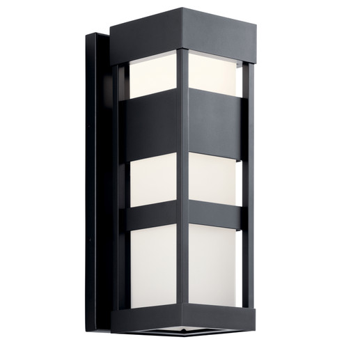 Ryler LED Outdoor Wall Mount in Black (12|59036BKLED)