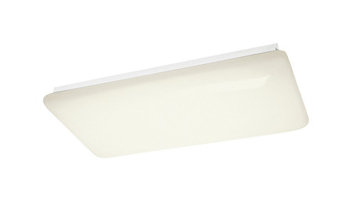 LED Linear Ceiling Mount in White (12|10303WHLED)