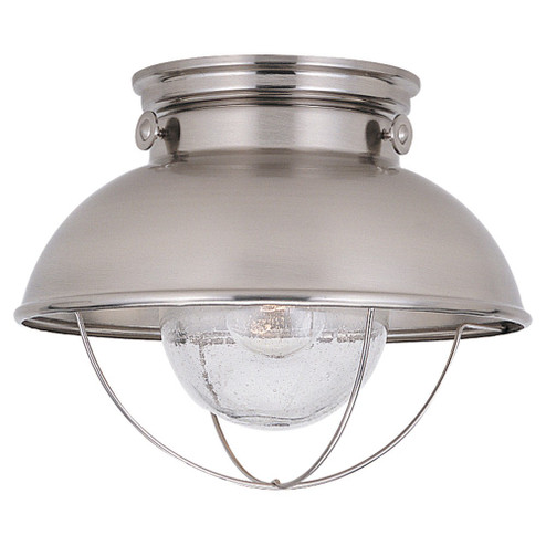 Sebring One Light Outdoor Flush Mount in Brushed Stainless (1|8869-98)