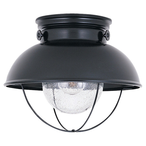 Sebring One Light Outdoor Flush Mount in Black (1|8869-12)