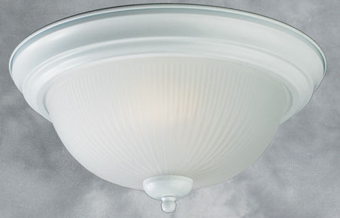 White E Two Light Flush Mount in White (112|20004-02-03)