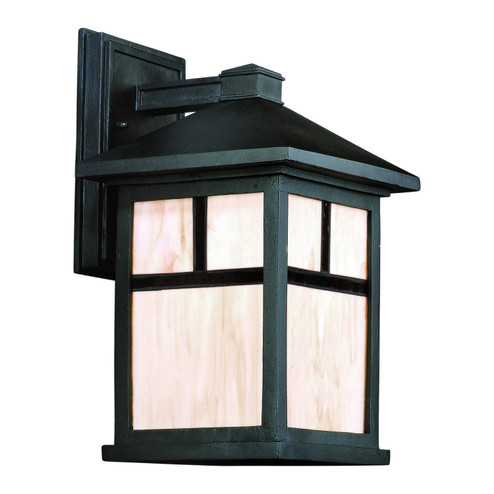 One Light Outdoor Lantern in Black (112|1873-01-04)