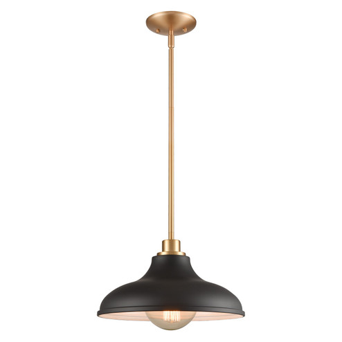 Grenville One Light Pendant in Brushed Gold (45|89434/1)