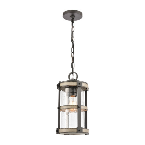 Annenberg One Light Outdoor Pendant in Anvil Iron (45|89147/1)