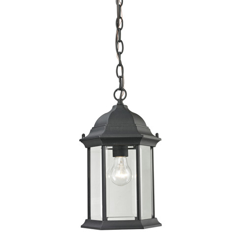 Spring Lake One Light Outdoor Pendant in Matte Textured Black (45|8601EH/65)