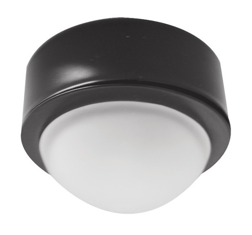 Mini Light Blk Ring Wht Frstd Glob in All Black (507|E225B)