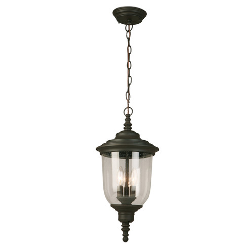 Pinedale Three Light Outdoor Pendant in Matte Bronze (217|202879A)