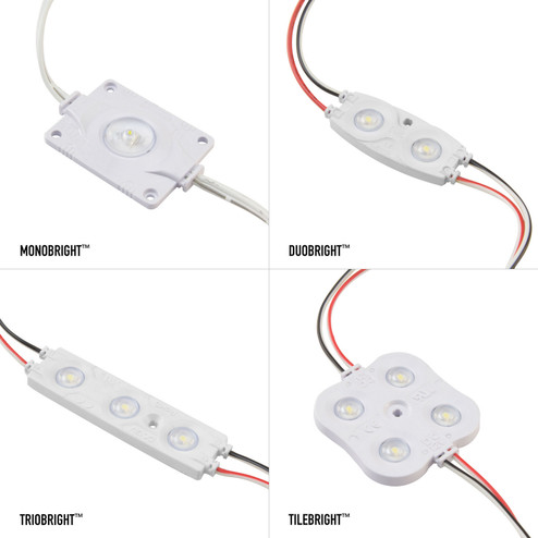 Puralight LED Light Module (399|DI-12V-P2-TLBL)