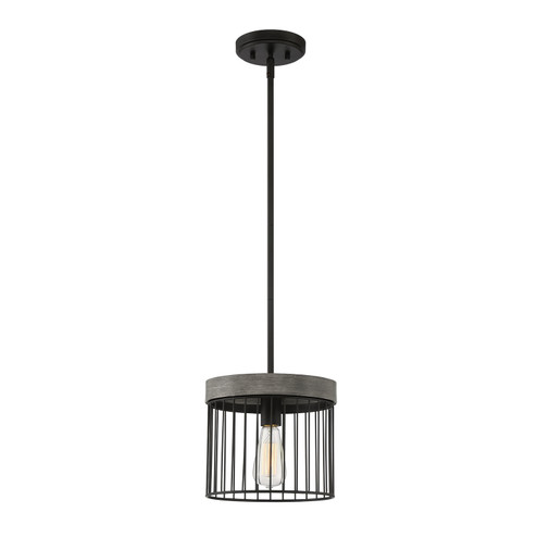 Aster One Light Pendant in Matte Black (43|D226M-10P-MB)