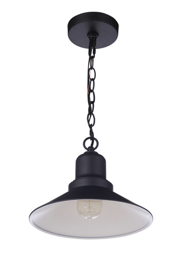 Singleton One Light Outdoor Pendant in Midnight (46|ZA5401-MN)