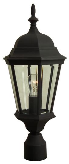 Straight Glass Cast One Light Post Mount in Textured Black (46|Z255-TB)