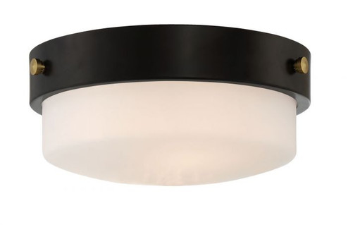 Oak Street Two Light Flushmount in Flat Black (46|X3212-FB)