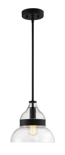 Pendant One Light Mini Pendant in Flat Black (46|P960FB1)