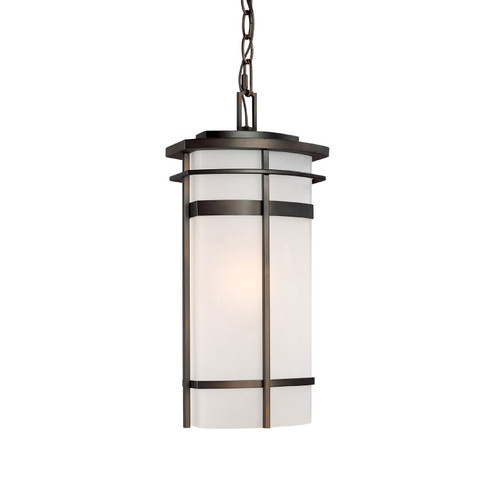 Lakeshore One Light Outdoor Hanging Lantern in Old Bronze (65|9885OB)