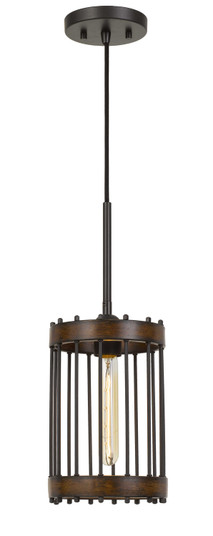Cantania One Light Pendant in Metal (225|FX-3700-1)