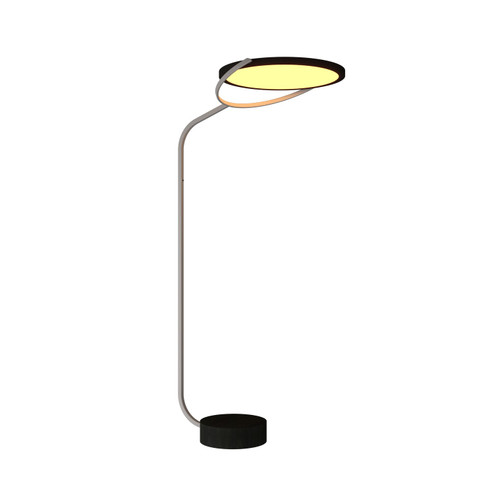 Naia LED Floor Lamp in Charcoal (486|3039LED.44)