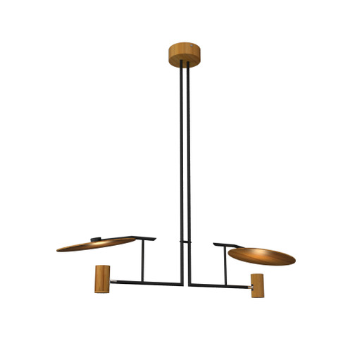 Dot Two Light Pendant in Teak (486|1421.12)