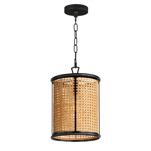 Cane One Light Pendant in Black (16|14471NABK)