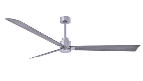 Alessandra 72''Ceiling Fan in Brushed Nickel (101|AK-BN-BW-72)