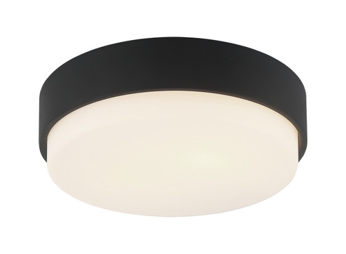 Quintz Two Light Ceiling Mount in Matte Black (423|M13202MB)