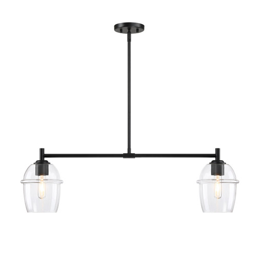 Summer Jazz Two Light Island Pendant in Matte Black (43|D310M-IS-MB)