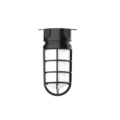 Vaportite One Light Flush Mount in Black (518|FMC050-41-G07)