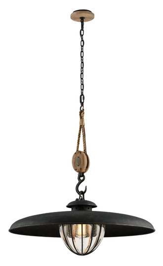 Murphy One Light Pendant in Forged Iron (67|F4907-FOR)