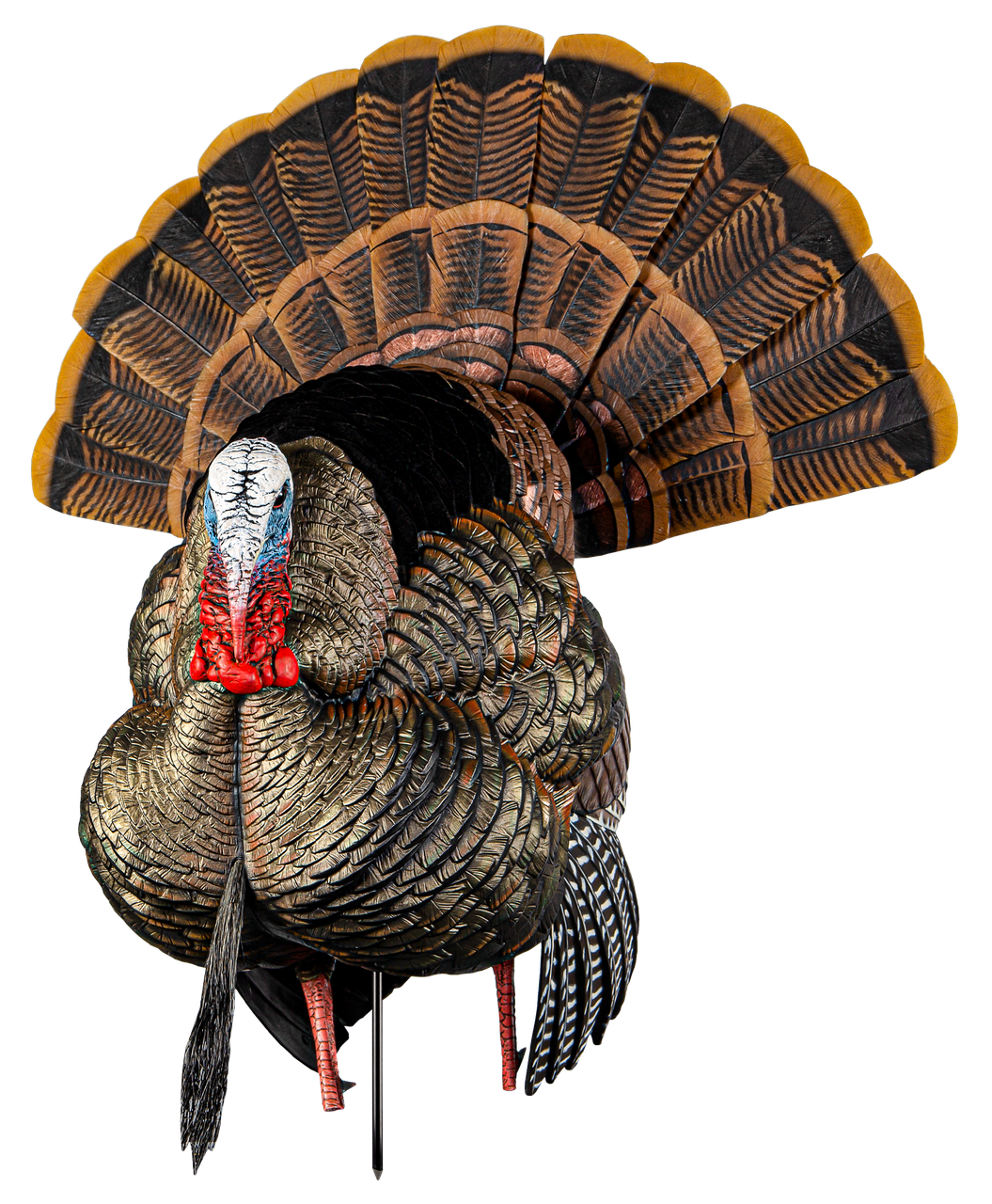 Turkey Strutter Avian X AVXAVX8108 HDR Strutter Turkey Species Multi Color - BuckSnort ...