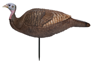 Primos 69073 Lil Gobstopper Hen Turkey Species Multi Color Primos 69073 Lil Gobstopper Hen Turkey Species Multi Color