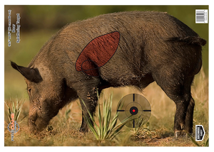 Birchwood Casey 35408 Pregame Boar Paper Target 16.50" x 24" 3 Per Pkg Birchwood Casey 35408 Pregame Boar Paper Target 16.50" x 24" 3 Per Pkg