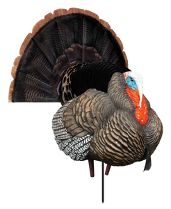 Higdon Outdoors 63175 XS TruStrutter Turkey Tom Species XS Motion Higdon Outdoors 63175 XS TruStrutter Turkey Tom Species XS Motion