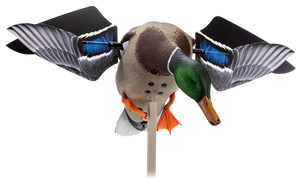 Avian X AVX-AVXDP100 PowerFlight  Mallards Species Multi-Color Features Dual Mode Remote                                                                                                                 Avian X AVX-AVXDP100 PowerFlight  Mallards Species Multi-Color Features Dual Mode Remote