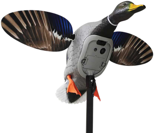 Mojo Outdoors HW2520 Elite Series King Mallard Multi Color Plastic                                                                                                                                       Mojo Outdoors HW2520 Elite Series King Mallard Multi Color Plastic