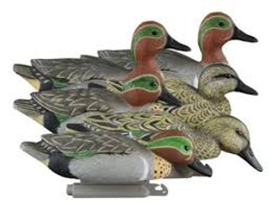 Higdon Outdoors 19943 Standard Teal  Green Wing Teal Species Multi Color Foam Filled 6 Pack                                                                                                              Higdon Outdoors 19943 Standard Teal  Green Wing Teal Species Multi Color Foam Filled 6 Pack