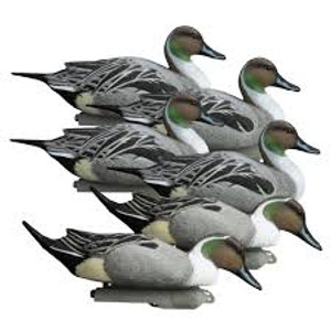 Higdon Outdoors 16544 Battleship Pintail Pintail Species Multi Color Foam Filled 6 Pack                                                                                                                 
