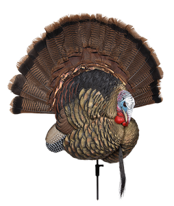 Avian X AVXAVX8021 Trophy Tom  Turkey Species Multi-Color *No Fan                                                                                                                                       
