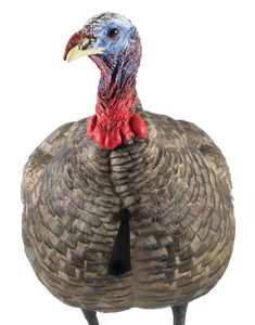 Avian X AVXAVX8003 LCD Quarter-Strut Jake Turkey Species Multi Color Dura-Rubber                                                                                                                        
