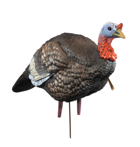 Higdon Outdoors 63144 Hard Body 1/4 Strut Jake Turkey Species Multi Color Higdon Outdoors 63144 Hard Body 1/4 Strut Jake Turkey Species Multi Color