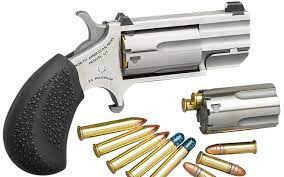 Why .22 Mini Revolvers Are Popular for Everyday Carry